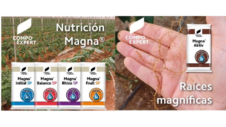 compo expert magna